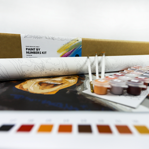 Custom Paint by Numbers 35x50 - £ 28.99
