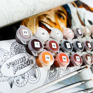 Photo-to-paint-by-numbers example with vibrant colors